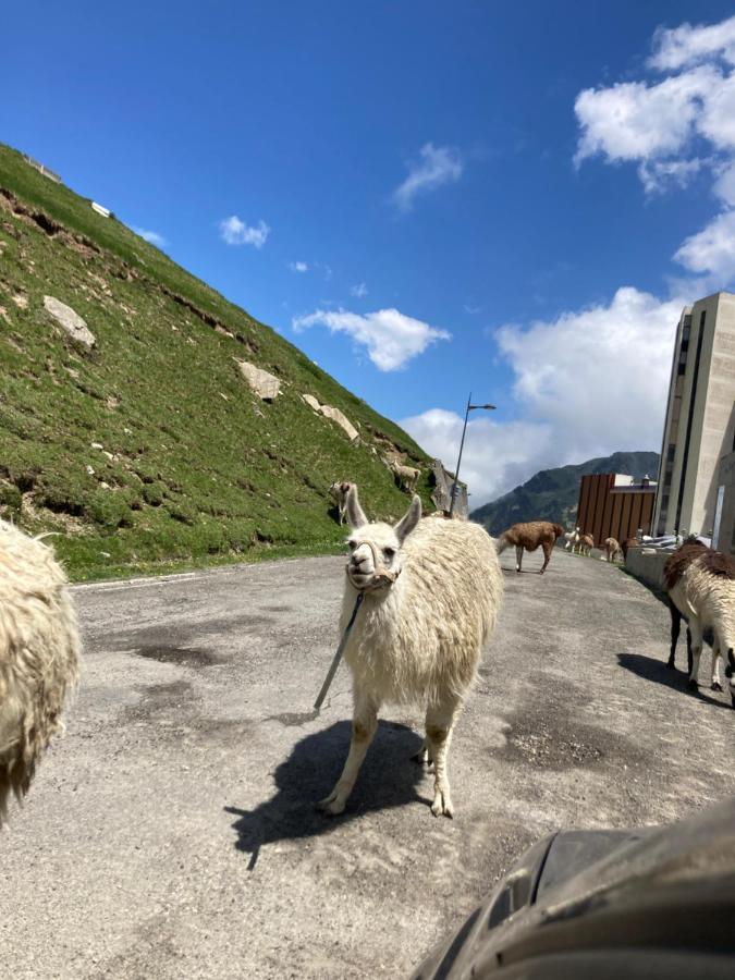 Studio Mongie Aux Pieds Des Pistes Avec Balcon La Mongie Kültér fotó